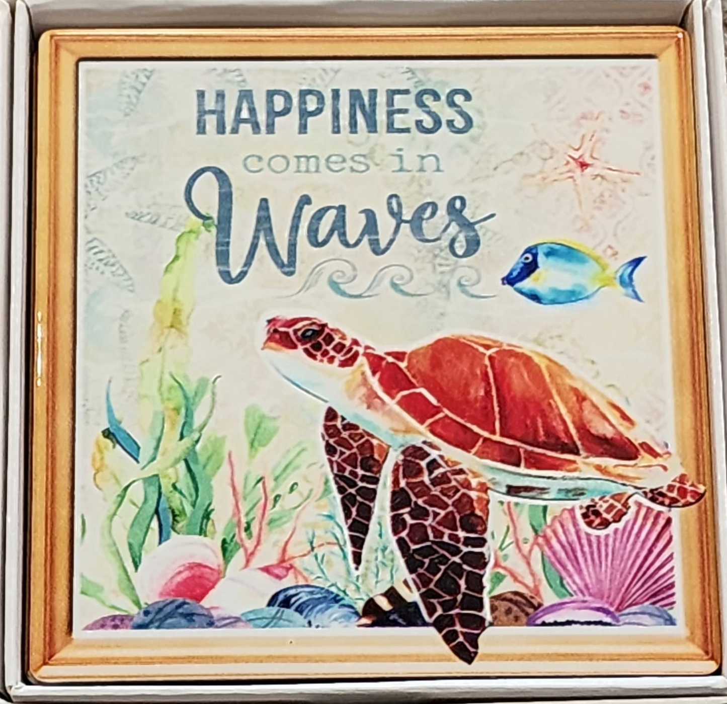 Coasters - Turtles various 1