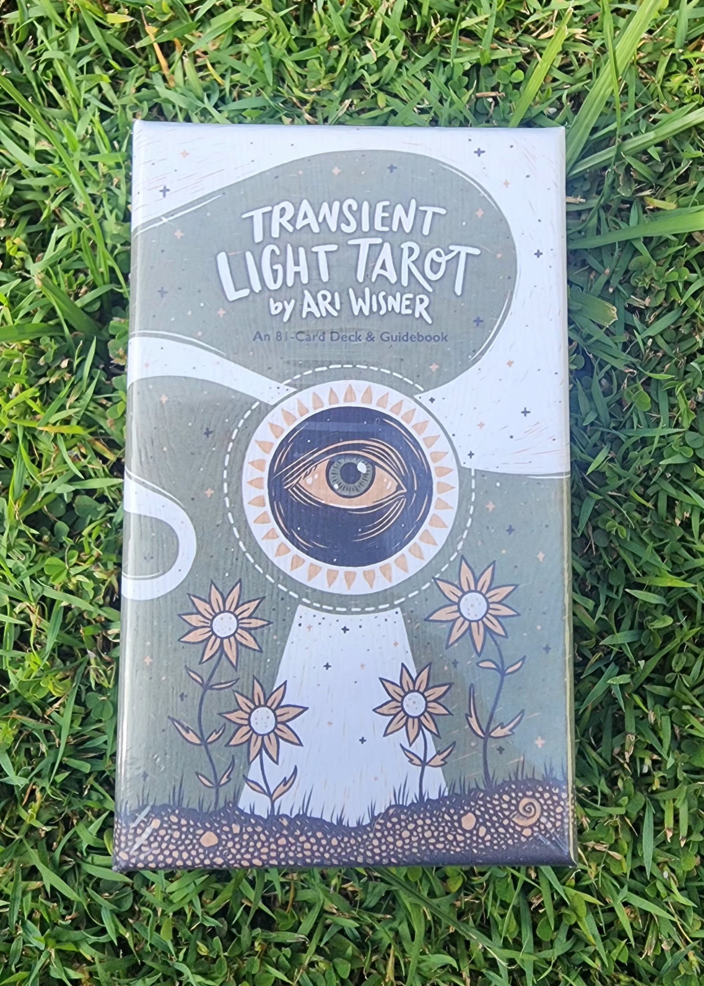 Tarot - Transient Light