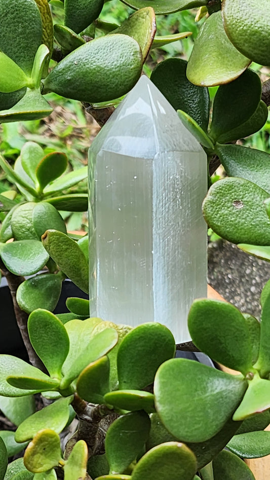 Satin Spar Selenite Hexagon Tower
